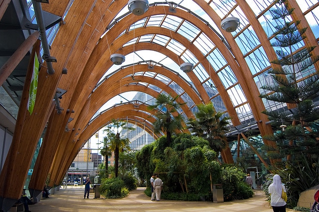 Winter gardens_Sheffield